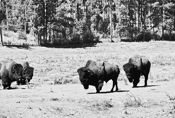 7545_FM_BW_SOUTH_DAKOTA_01_14.jpg