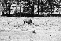 7545_FM_BW_SOUTH_DAKOTA_01_2.jpg