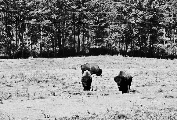 7545_FM_BW_SOUTH_DAKOTA_01_8.jpg