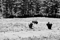 7545_FM_BW_SOUTH_DAKOTA_01_9.jpg