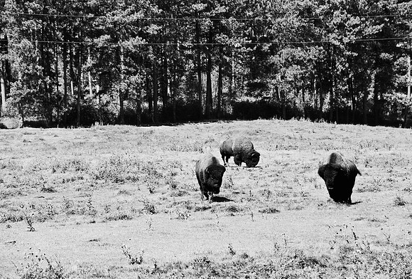 7545_FM_BW_SOUTH_DAKOTA_01_9.jpg