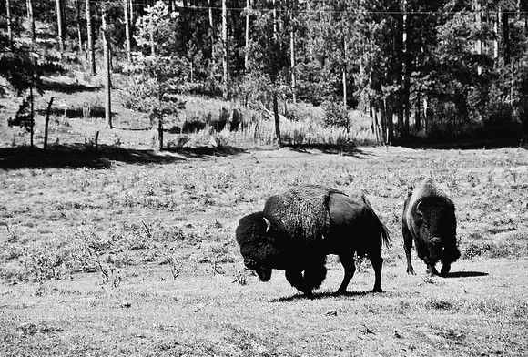 7545_FM_BW_SOUTH_DAKOTA_01_20.jpg
