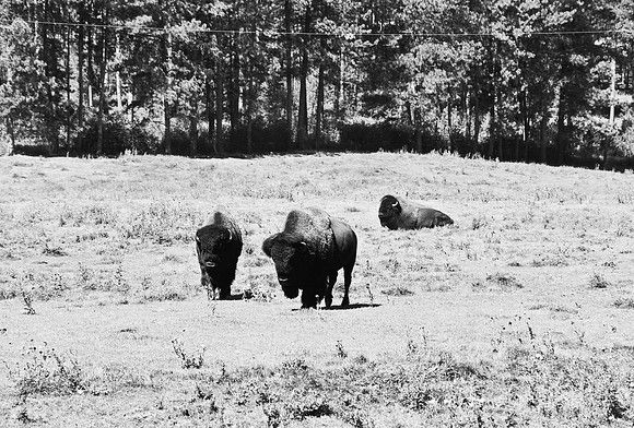 7545_FM_BW_SOUTH_DAKOTA_01_17.jpg