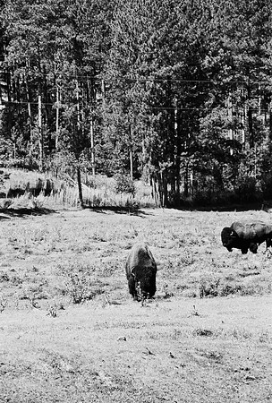 7545_FM_BW_SOUTH_DAKOTA_01_25.jpg