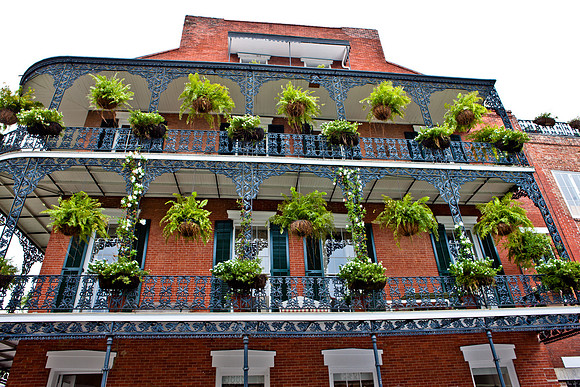 20081023_DVD73_DG_USA_New_Orleans_LA5L8Y0314_full_blead