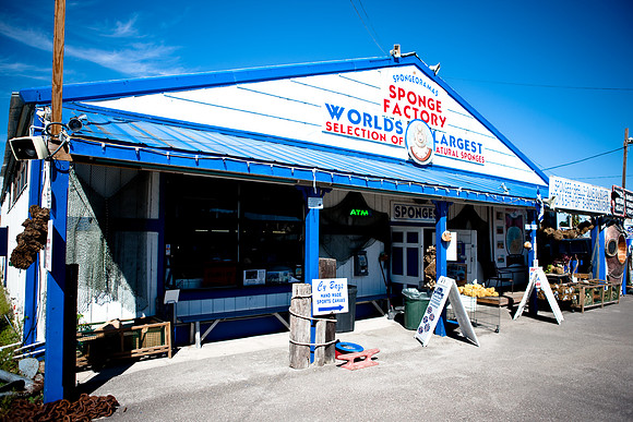 20081025_DVD79_DG_Tarpon_Springs_FL_5L8Y0971_full_blead