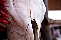 20081019_DVD63_DG_USA_Santa_Fe_NM_5L8Y8613_full_blead