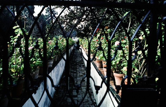 37732_SL_COLOR_BOX_II_SPAIN_1986_1
