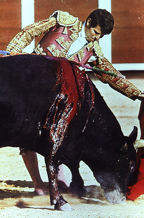 37724_SL_COLOR_BOX_II_MADRID_SPAIN_1986_4