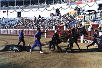 37724_SL_COLOR_BOX_II_MADRID_SPAIN_1986_1