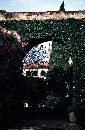 37733_SL_COLOR_BOX_II_SPAIN_1986_16
