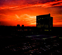 2459_FL_COLOR_MEMPHIS_TN_02_1.jpg