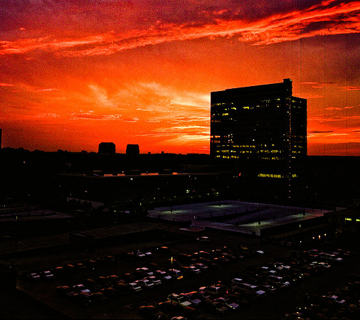 2459_FL_COLOR_MEMPHIS_TN_02_1.jpg