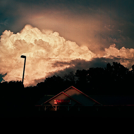 2463_FL_COLOR_MEMPHIS_TN_02_4.jpg