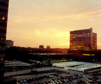 2459_FL_COLOR_MEMPHIS_TN_02.jpg