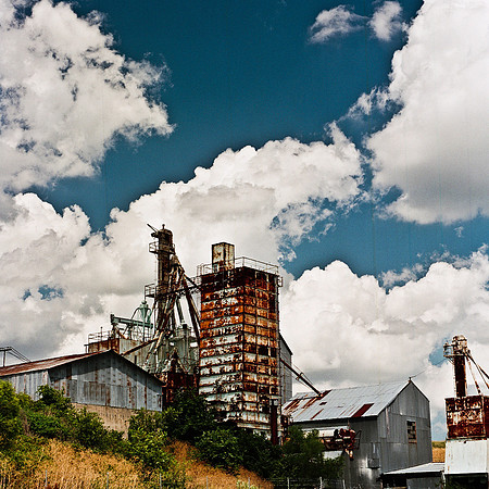2463_FL_COLOR_MEMPHIS_TN_02.jpg