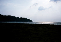 FILM