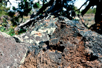 0020_Wyonming_To_Ketchem_Sun_Valley_ID_5L8Y7813