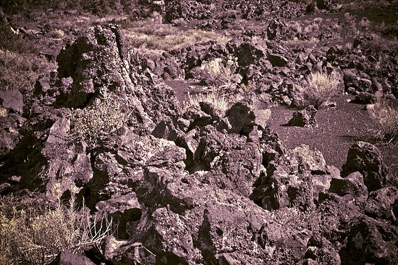0020_Wyonming_To_Ketchem_Sun_Valley_ID_5L8Y7819