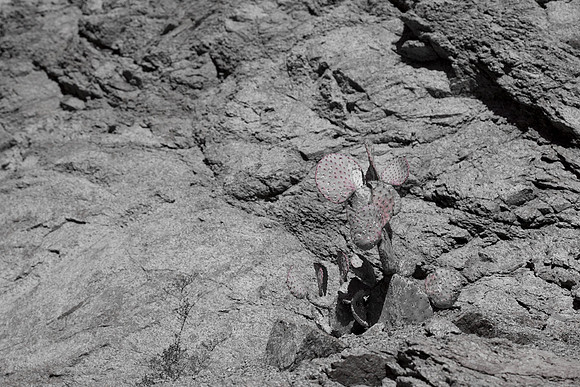 0031_La_Arizona_5L8Y5573