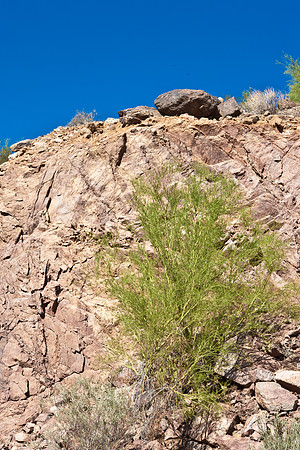 0031_La_Arizona_5L8Y5536