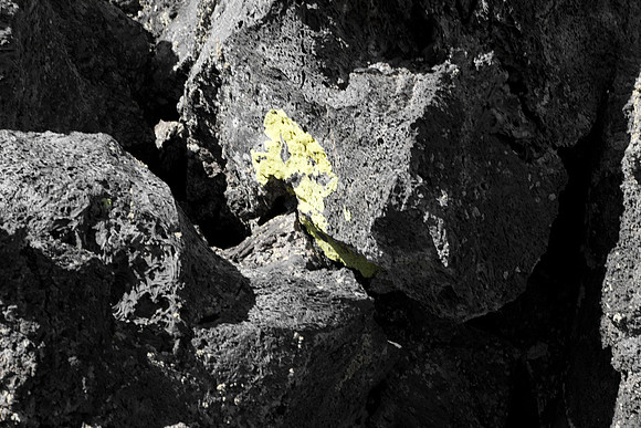 0020_Wyonming_To_Ketchem_Sun_Valley_ID_5L8Y7821