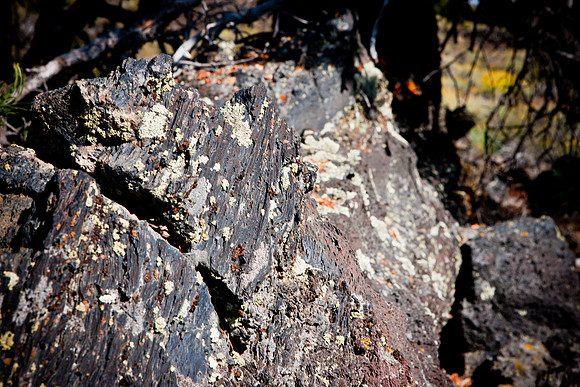 0020_Wyonming_To_Ketchem_Sun_Valley_ID_5L8Y7811