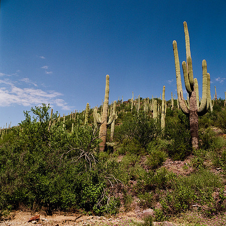 6011_FM_COLOR_ABILENE_TEXAS_05_7.jpg