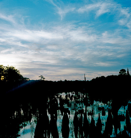 6157_FILM_COLOR_DALLAS_CULLMAN_TX_05_7.jpg