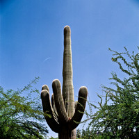 6011_FM_COLOR_ABILENE_TEXAS_05_1.jpg