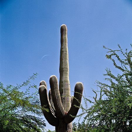 6011_FM_COLOR_ABILENE_TEXAS_05_1.jpg