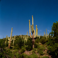 6011_FM_COLOR_ABILENE_TEXAS_05_6.jpg