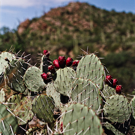 6011_FM_COLOR_ABILENE_TEXAS_05.jpg