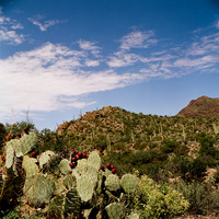 6011_FM_COLOR_ABILENE_TEXAS_05_4.jpg