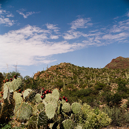 6011_FM_COLOR_ABILENE_TEXAS_05_4.jpg