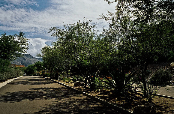 6162_FM_COLOR_ALBUQUERQUE_NM_05_7.jpg