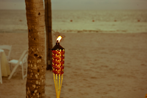 3460_B_DG_Fisher_Island_Beach__Club_The Band_The Spam_Allstars_Miami_FL_ZV4N2370