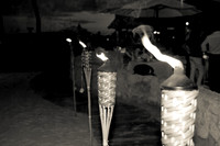 3460_B_DG_Fisher_Island_Beach__Club_The Band_The Spam_Allstars_Miami_FL_ZV4N2506