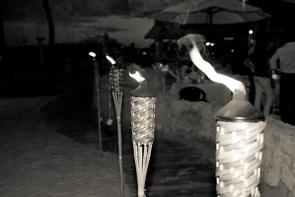 3460_B_DG_Fisher_Island_Beach__Club_The Band_The Spam_Allstars_Miami_FL_ZV4N2506