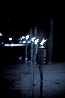 3460_B_DG_Fisher_Island_Beach__Club_The Band_The Spam_Allstars_Miami_FL_ZV4N2531