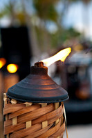 3810_DG_Spam_All_Stars_Band_Miami_FL_ZV4N2255