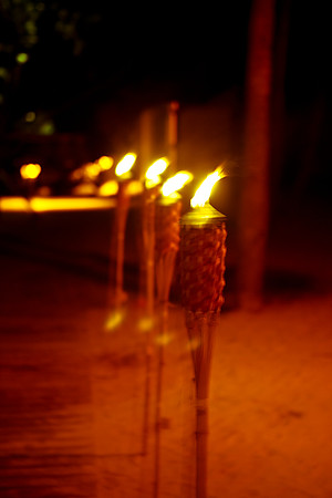 3810_DG_Spam_All_Stars_Band_Miami_FL_ZV4N2532