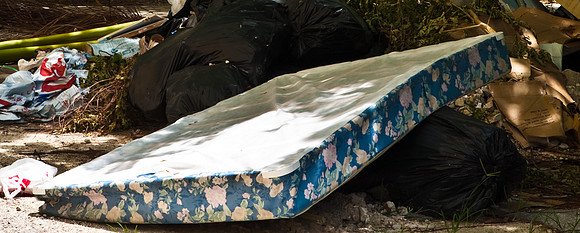 42590_Miami_2008_ZV4N6515