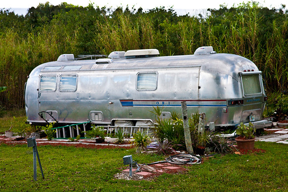 2527_EVERGLADES_MIAMI_FLORIDA_AOM_20090315__A0M1254