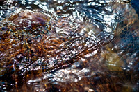 3876_DG_Cayman_Island_Caribbean_ZV4N0220
