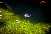 2905_DG_Bal_Harbor_Shops_Maimi_FL20090426-5L8Y6824