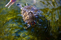 2905_DG_Bal_Harbor_Shops_Maimi_FL20090426-5L8Y6830