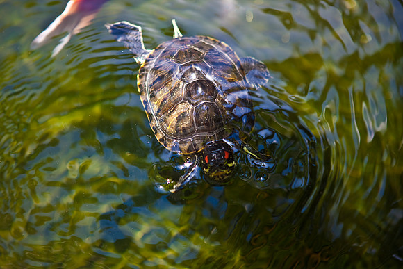 2905_DG_Bal_Harbor_Shops_Maimi_FL20090426-5L8Y6830
