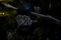 2905_DG_Bal_Harbor_Shops_Maimi_FL20090426-5L8Y6792