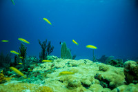 6032_DG_Scuba_Key_Biscayne_rigs_Mia_FL_IMG_4892